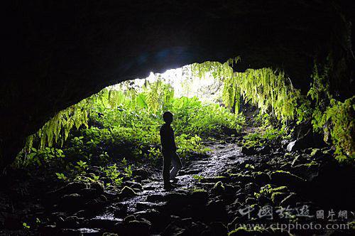 从鞋塘到岳阳开车走国道有多少公里